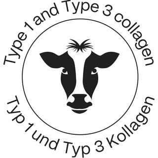 6er Vorteilsbundle